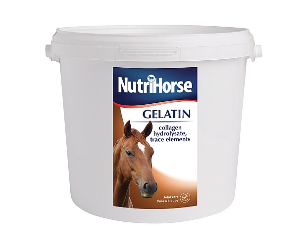 NutriHorse® Gelatin